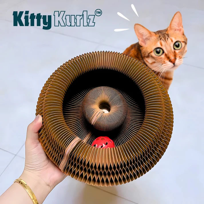 Cat toy