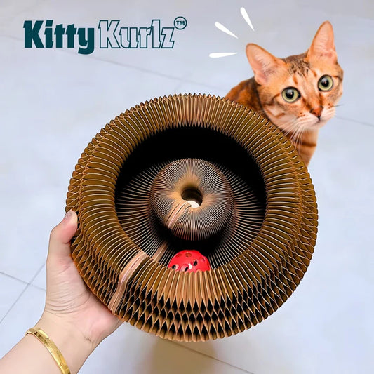 Cat toy