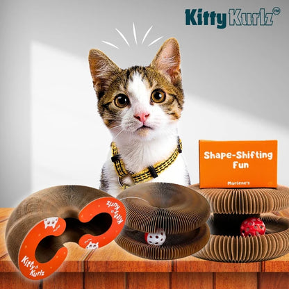 Cat toy