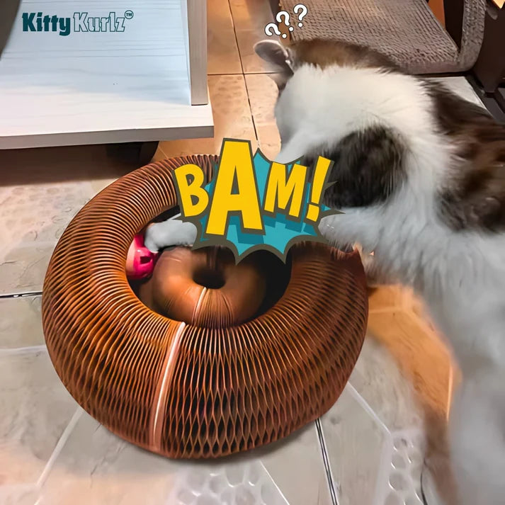 Cat toy