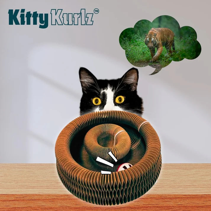 Cat toy