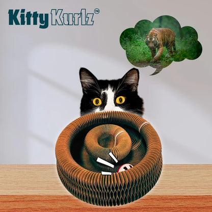 Cat toy